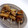 まこさんど's cooksnap of when they made 焼き鳥（ネギま）♡後刺ししてみました♪.