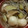 のぶ代's cooksnap of when they made たっぷりきのこのだんご汁♪.