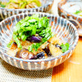 makichihua's cooksnap of when they made 大根おろしたっぷり 冷やしナス.