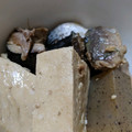 ひまわり's cooksnap of when they made さば缶と豆腐の煮物.