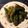 栗丸うさぎ's cooksnap of when they made ししとうの油炒め.