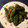 栗丸うさぎ's cooksnap of when they made ししとうの油炒め.