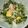 ナッツ627's cooksnap of when they made 豆苗のマヨ醤油サラダ.