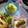 愛じゃな～い？'s cooksnap of when they made ✿大根おろし＆キウイフルーツでサラダ？✿.