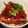 TOMO✿TOMO's cooksnap of when they made 絶品！さんまの蒲焼き丼.