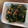 クックLJ2W4Q☆'s cooksnap of when they made ぷちぷち♡梅ツナわかめのとびっこ和え.
