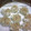 犬くんし's cooksnap of when they made 鶏とほたてのしゅうまい.