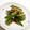 ちえぞ〜's cooksnap of when they made めんつゆで簡単副菜☆オクラのごま和え.