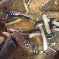 ma___111's cooksnap of when they made サバ水煮缶のドライカレー.
