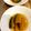 horseland's cooksnap of when they made レンジで簡単に出来るかぼちゃの煮物♪.