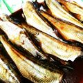 ともりん0203's cooksnap of when they made 鳥取のハタハタの煮つけ.