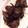 クック5E0FE9☆'s cooksnap of when they made 鶏の肝煮.
