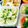 ちび姫ちゃん's cooksnap of when they made ✿ゴーヤのレモン漬け✿.