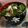 クック49L4Ho☆'s cooksnap of when they made 鶏ガラスープでつくる温かいそうめん.