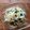 studio a'25's cooksnap of when they made 簡単！もやしとわかめのサラダ♪.