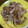 クックHDP0M2☆'s cooksnap of when they made シロさんの玉ねぎたっぷりしょうが焼き.