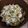 なふゅた's cooksnap of when they made 【沖縄料理】苦くない！ゴーヤチャンプル.