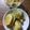 そらてんママ's cooksnap of when they made ペロッと食べちゃう♡米粉で里芋の揚げだし.