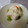 くじゃく４７'s cooksnap of when they made 安くおいしく！ふんわり卵白のあわ雪炒め.