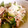 らがぶーりん's cooksnap of when they made サバ缶と新玉ねぎときゅうりの酢の物.