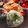 928るびすけ☆☆'s cooksnap of when they made 青のりおにぎり.