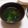 チコリママ's cooksnap of when they made ☺モロヘイヤのお味噌汁☺.
