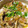 ✴︎こっこ✴︎'s cooksnap of when they made 簡単旨い！松屋牛めしの具で柳川風卵とじ.