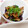 クックI1QVQO☆'s cooksnap of when they made 簡単！作り置きにも＊なすのたたき.