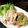 misatona's cooksnap of when they made 蒸し鶏 アボカド 人参のゴマドレサラダ.