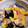 acoron's cooksnap of when they made きくらげが主役！卵炒め.