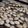 きなこよぷりん's cooksnap of when they made かぼちゃの種の洗い方.