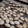 きなこよぷりん's cooksnap of when they made かぼちゃの種の洗い方.