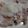 クック7VDLLD☆'s cooksnap of when they made ほうれん草と豚バラ冷しゃぶ♥大根おろしで.