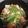 NHR★'s cooksnap of when they made ストウブで豚肉と野菜のバタポン蒸し.