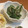 zaike's cooksnap of when they made 電子レンジで簡単 ピーマンとツナの和え物.