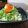 ダイナマイト漆黒's cooksnap of when they made ランチに☆いくらおろし蕎麦.