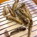 ao745's cooksnap of when they made サクッと。マハゼの唐揚げ.