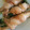 クック32DGSA☆'s cooksnap of when they made 豆苗とえのきの豚肉巻き照り焼き★.
