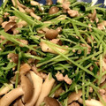 あずさー's cooksnap of when they made 〈ビールのつまみ〉豆苗&ひき肉の簡単炒め.