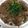 みー３２'s cooksnap of when they made 漫画めし：シャリアピンステーキ丼.