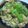 ろこぺり's cooksnap of when they made ☆鶏ミンチ野菜たっぷり丼☆.