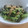 柊さくら's cooksnap of when they made 簡単！小松菜としらす炒め.