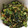 anemonenan's cooksnap of when they made 野沢菜(小松菜)の無添加ふりかけ.