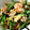 クックQDQWV7☆'s cooksnap of when they made 海老とアスパラガスの卵炒め.