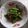 ぴあののりこ's cooksnap of when they made インゲンのごま和え.
