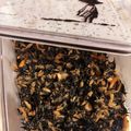 ふー02's cooksnap of when they made ツナ缶ひじき炒め♪簡単乾物煮物.