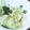 クック6A4O5C☆'s cooksnap of when they made レタスとワカメの中華サラダ.
