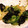 SASAぴー's cooksnap of when they made レタス大量消費！激ウマ海苔レタス.