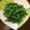 Ｍatu☆Music's cooksnap of when they made 【冷凍野菜】枝豆のフライパン蒸し焼き.