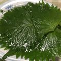 どぅくどぅくぼん！'s cooksnap of when they made 大葉の保存 復活？！方法.